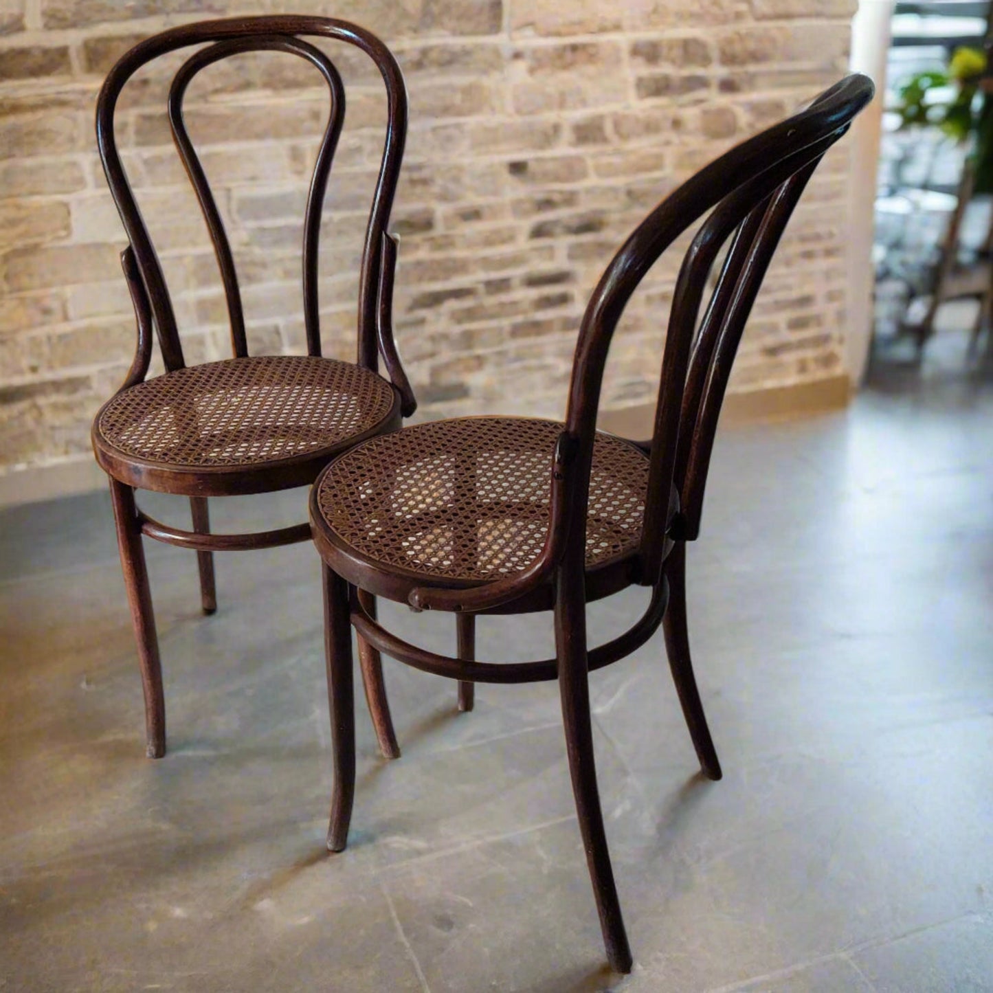 6 Thonet Chairs