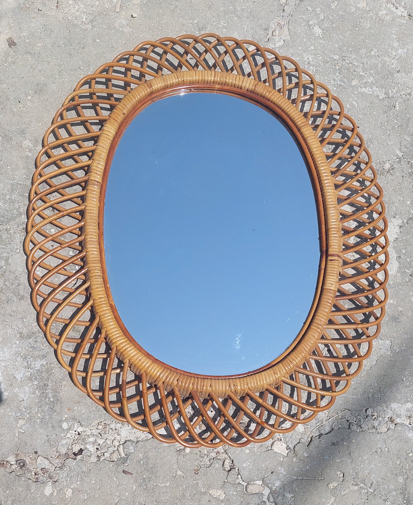 Franco Albini cane mirror