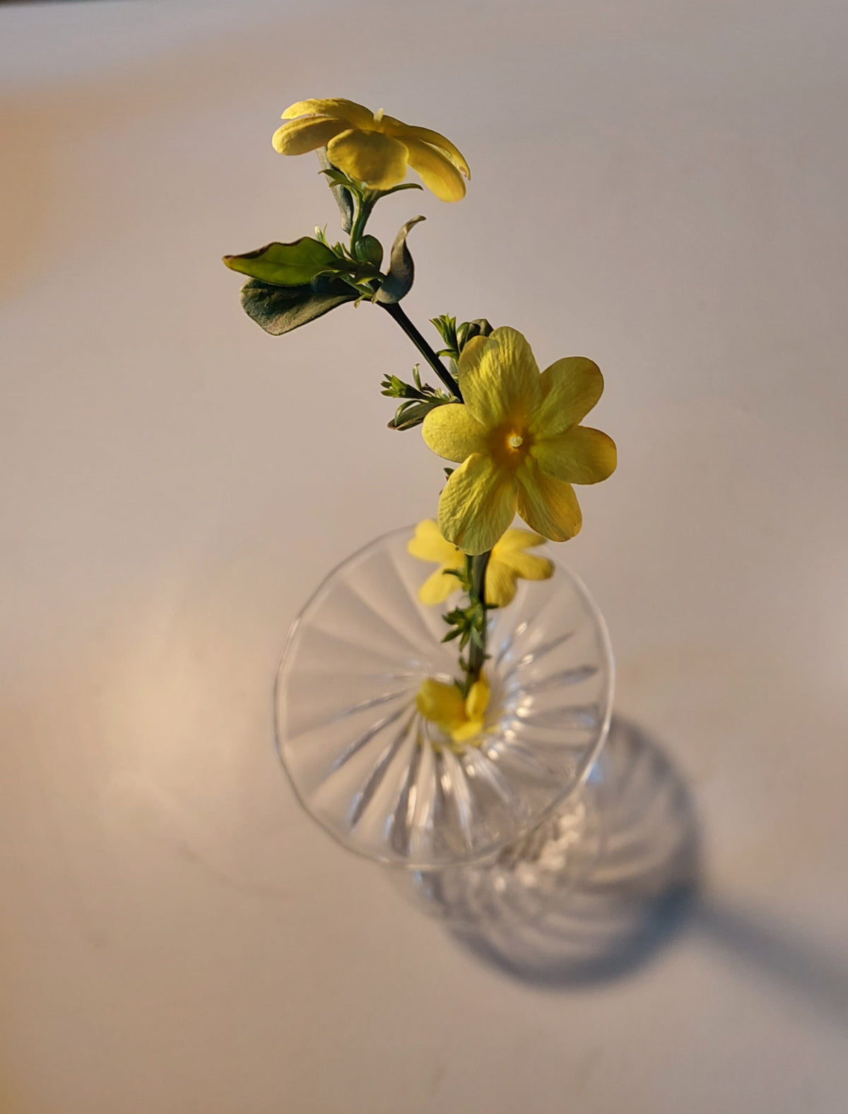 La Murrina Candlestick in Murano glass.