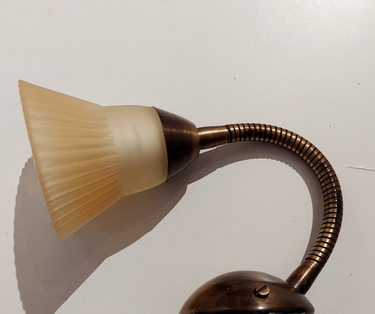 Small Gooseneck Scandinavian style  Brass Wall Lamp